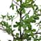 6ft. Potted Shady Lady Tree by Ashland®